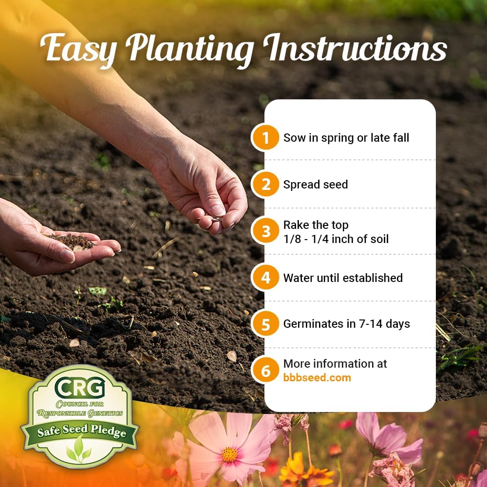 Drought Tolerant Wildflower Seeds - 4oz Packet, Open-Pollinated Bulk Flower Seed Mix for Beautiful Perennial, Annual Garden Flowers - No Fillers - 1/4 Pound