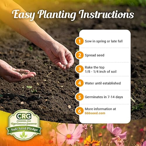 Miniatura 3 de Semillas de flores silvestres tolerantes a la sequía, 4 onzas, mezcla de semillas de flores a granel de polinización abierta para hermosas flores de