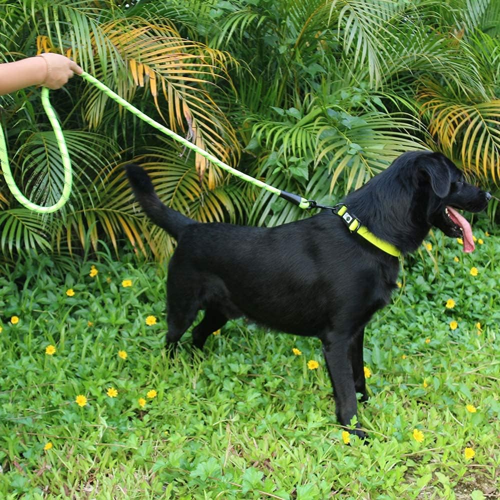 NIMBLE Dog Collar and Leash Set, Heavy Duty Reflective Dog Leash and Waterproof Dog Training Collar for Medium Large Dogs