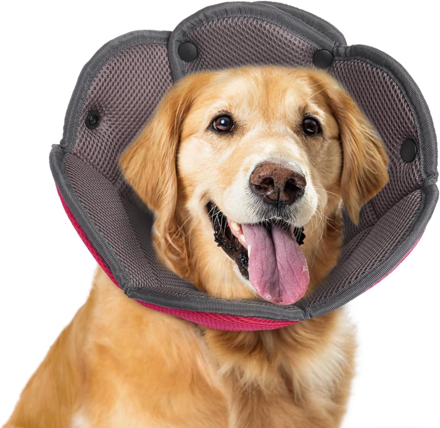 Collare Protettivo Per Cani E Gatti Taglia XL - Morbido E Regolabile - Foto 2