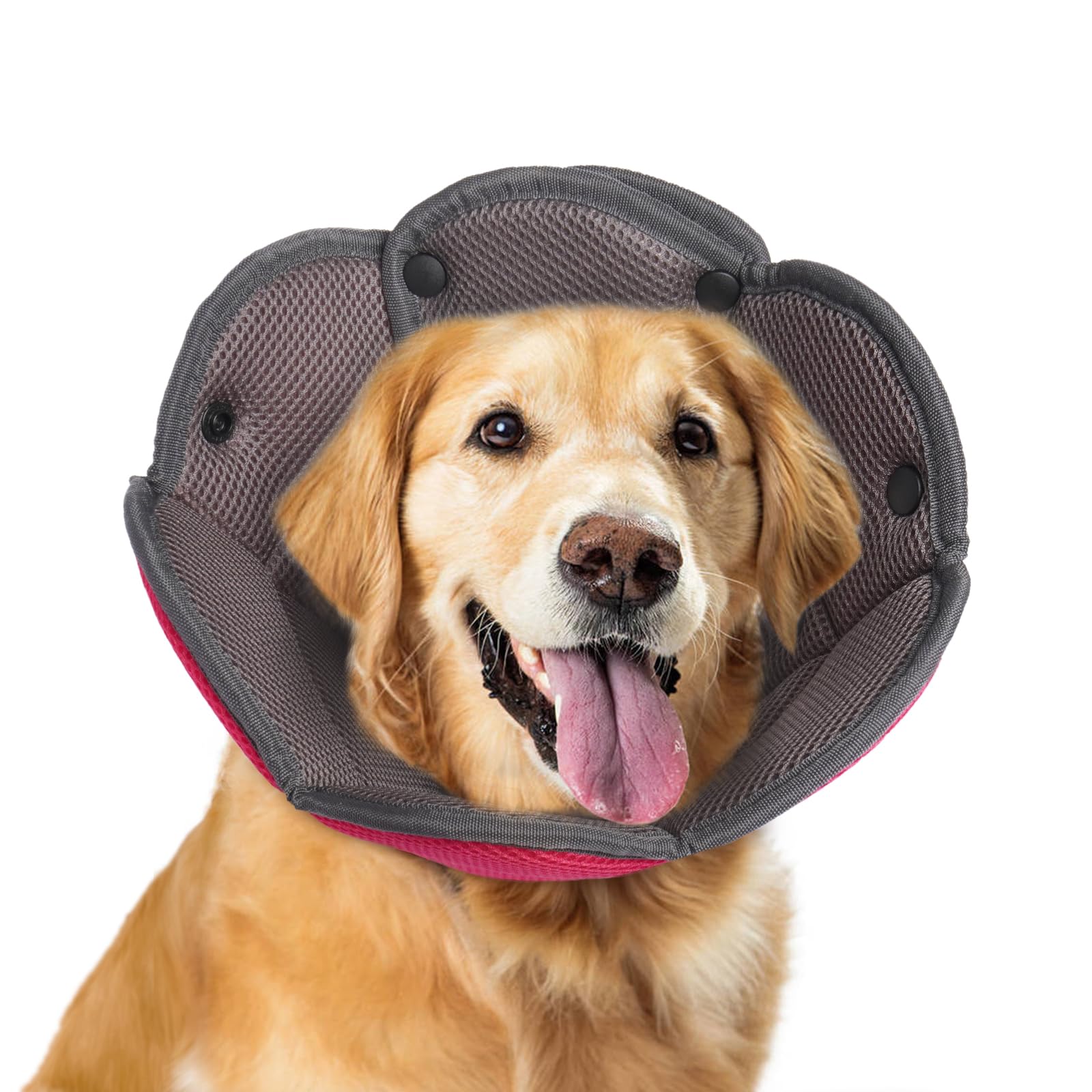 Hjyokuso Collar de Recuperación para Perro Gato, Ajustable Collar Isabelino para Mascotas, Conos de recuperación para Mascotas,Collar de Protección para Gatos Perros Recuperación de Cirugía o Heridas