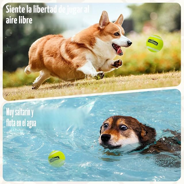 Foto 4 de 8 de Nobleza Pelota Perro, 24 Pack Interactiva Pelotas Tenis para Perros, Pelota de Caucho Natural
