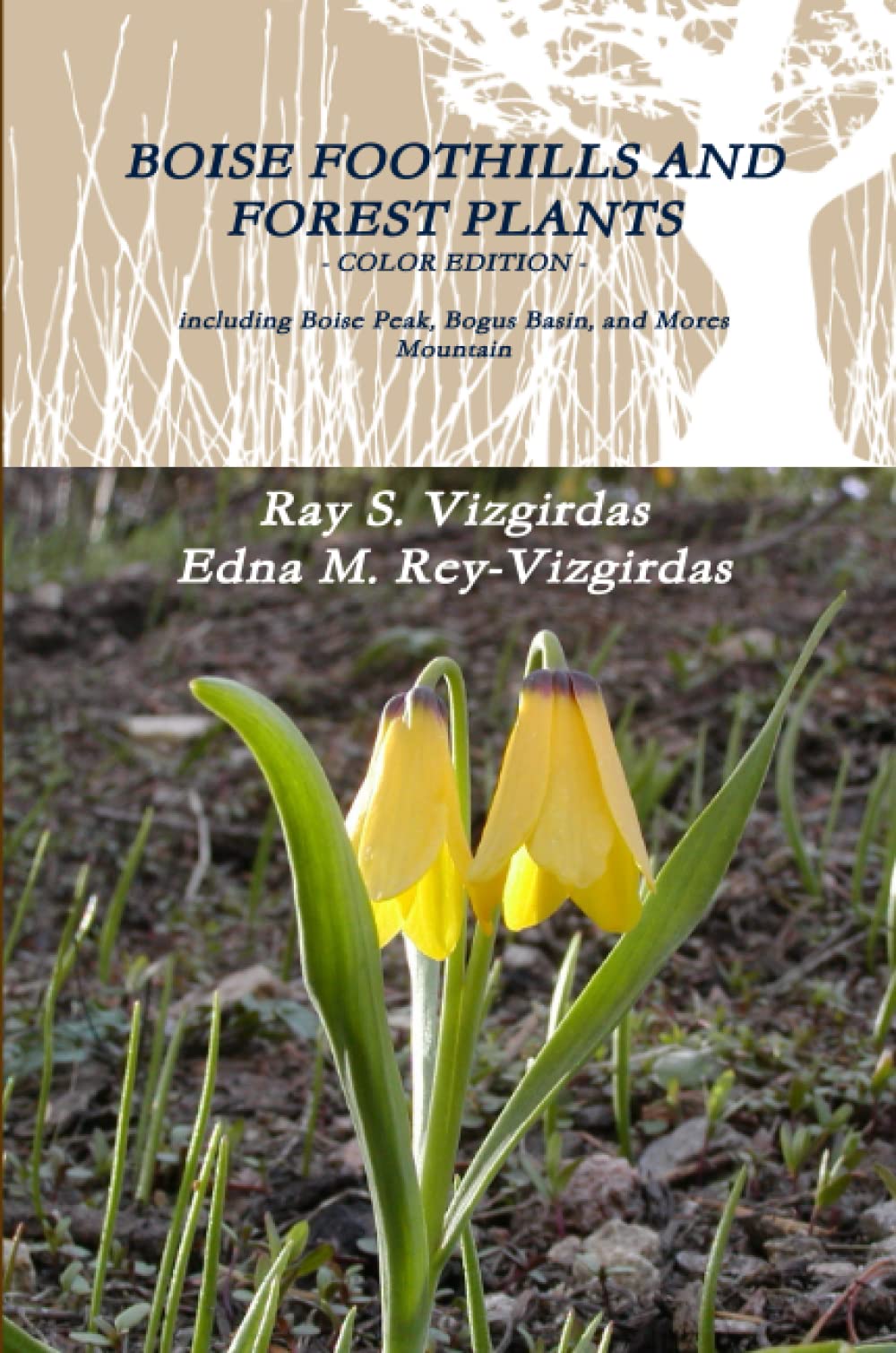 Ray S VizgirdasBoise Foothills and Forest Plants - Color Edition