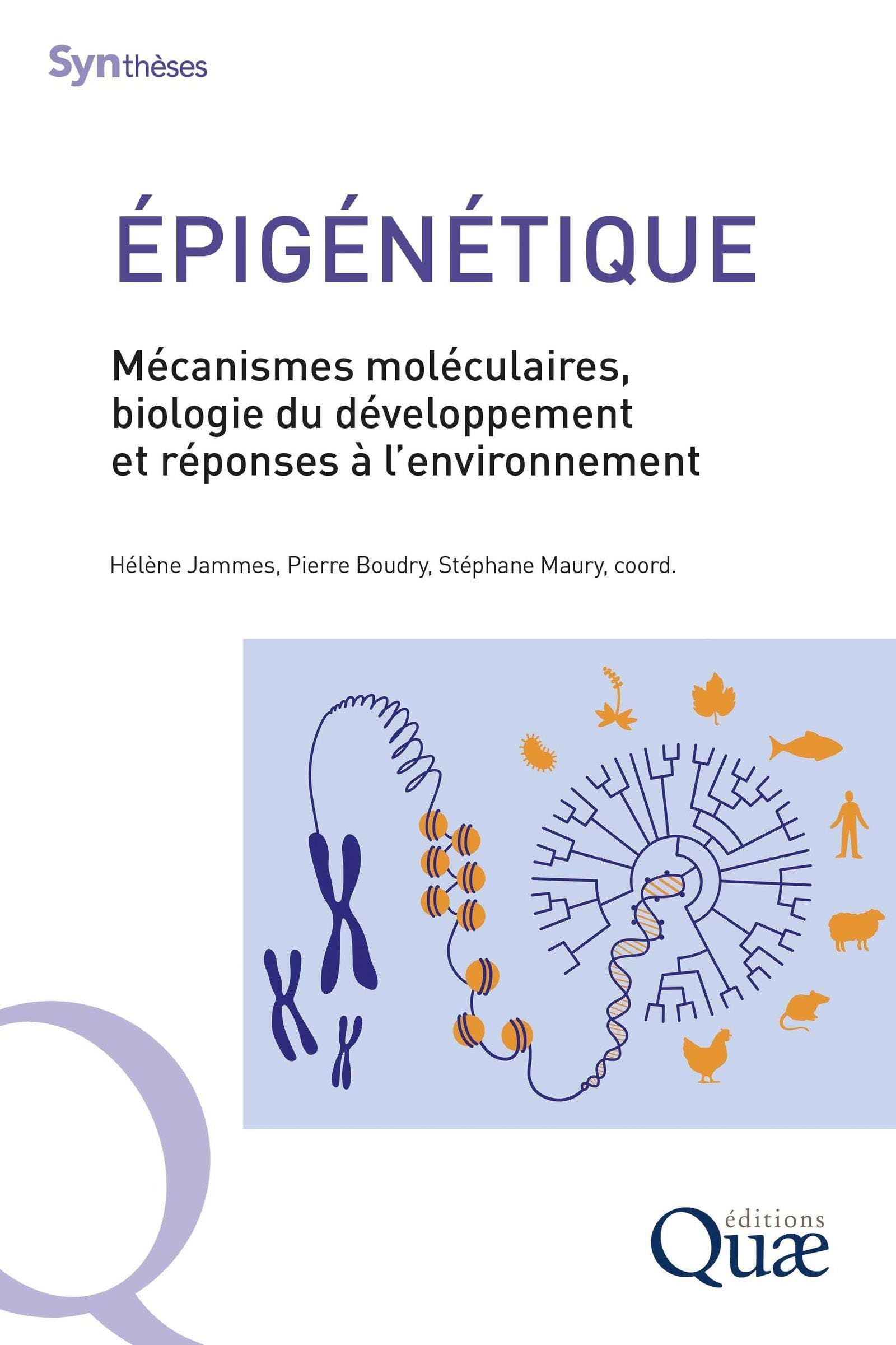 Épigénétique: Mécanismes moléculaires, biologie du développement et réponses à l'environnement
