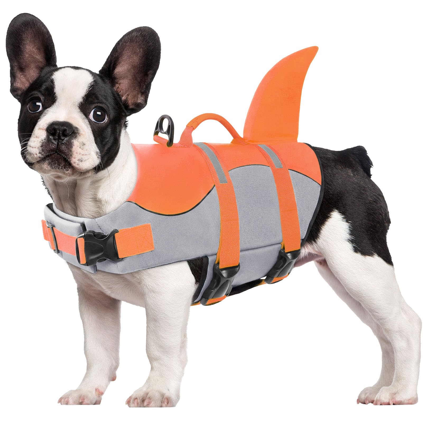 CITÉTOILE Schwimmweste Hunde Hai, Leicht und Sicher für Wassersport, hundeschwimmweste mit Griff und Reflektierend für Kleine Mittlere und Große Hunde, Orange, M