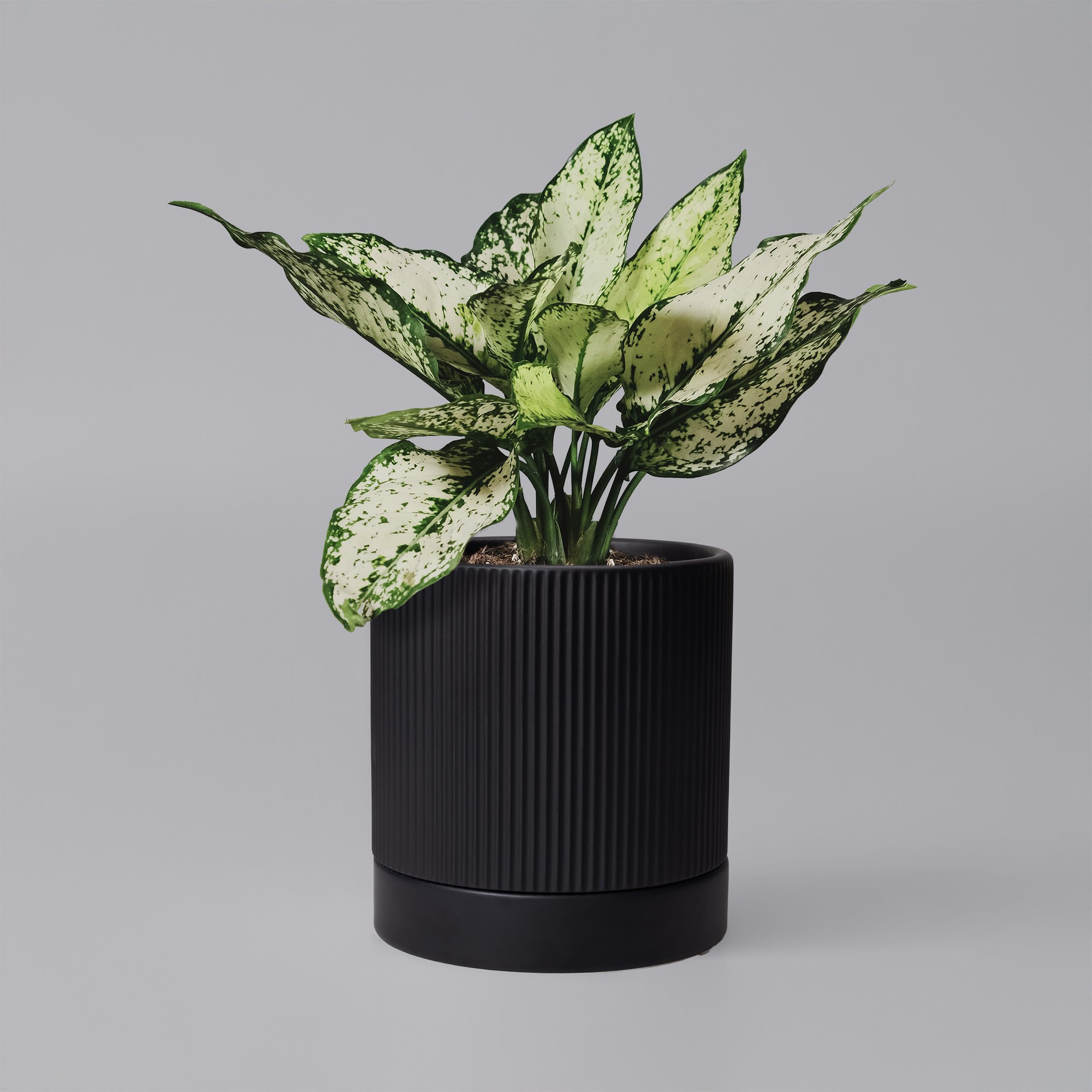 HERDUK Ceramic Plant Pot