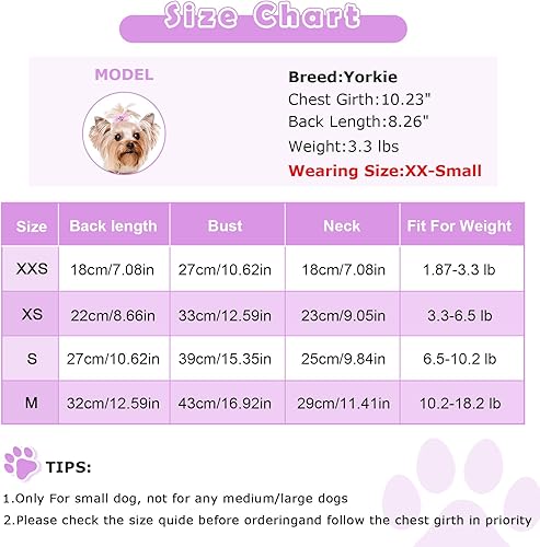 Miniatura 6 de Pijama de terciopelo mullido para perro, suéter de invierno con alas de ángel, ropa para perros pequeños, hembra, niño, trajes de perro para