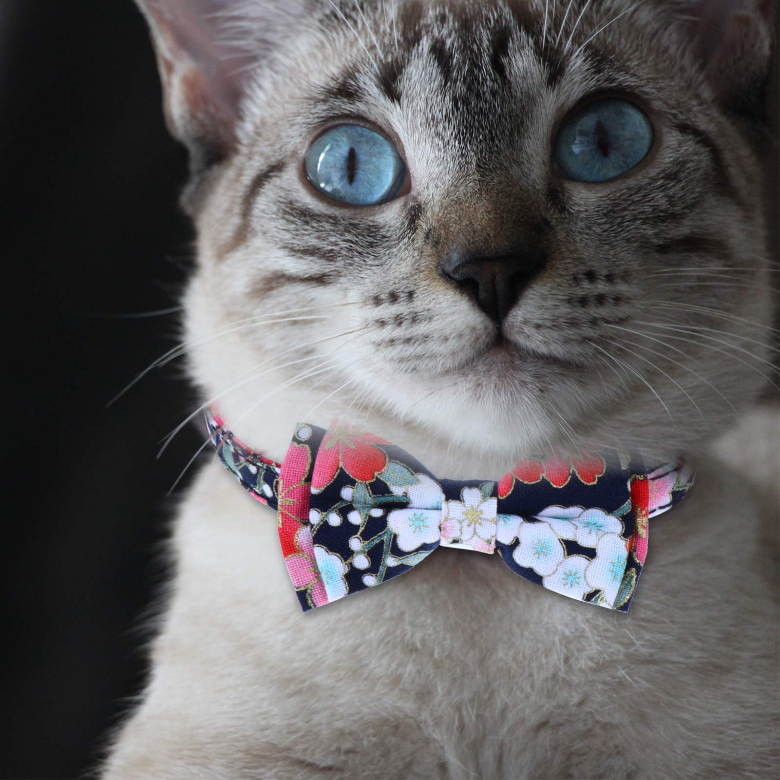 Supvox 9stücke Katzenhalsband Mit Glöckchen Und Schleifen Verstellbar Atmungsaktives Design Bunte Farben Für Süße Und Auffällige Erscheinung Ihres