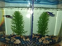 Review Image by Ana Calle Ana Calle