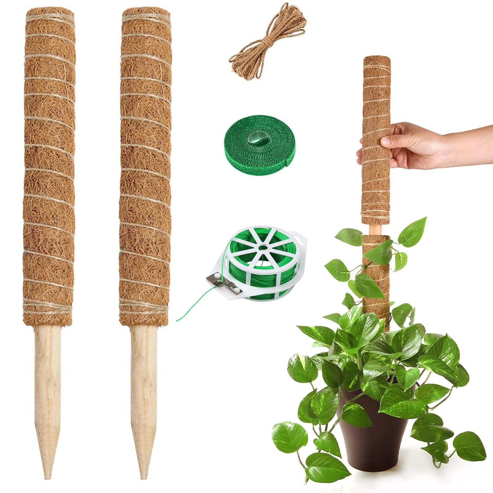 Bastone di Muschio,2 pezzi 40 cm in Fibra di Cocco,Traliccio per Rampicanti,Bastoncino di muschio Monstera,Bastoncino per piante rampicanti da interno,per la crescita verticale delle piante rampicanti
