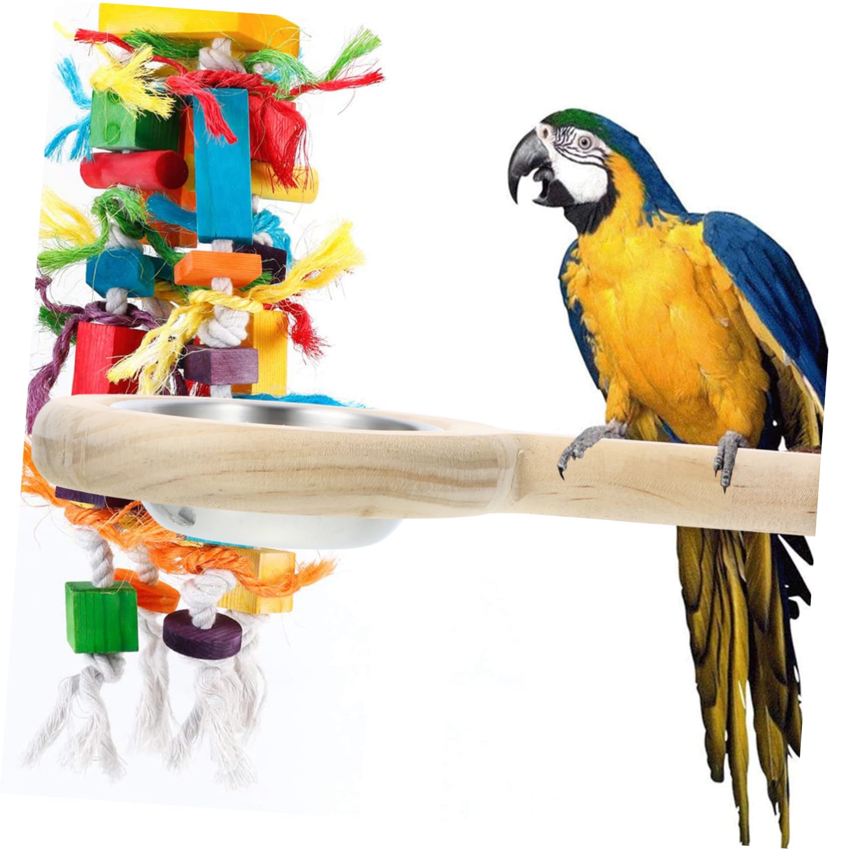 BESPORTBLE 4pezzi Ciotola Per Inossidabile Posatoio Alimentazione Accessorio Per Gabbie Pappagalli e Domestici Facile Installare Alimenti
