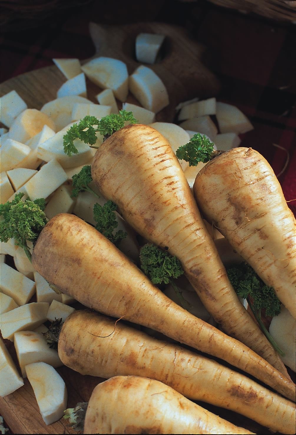 JustSeed - Vegetable - Parsnip - Tender and True - 1500 Seeds