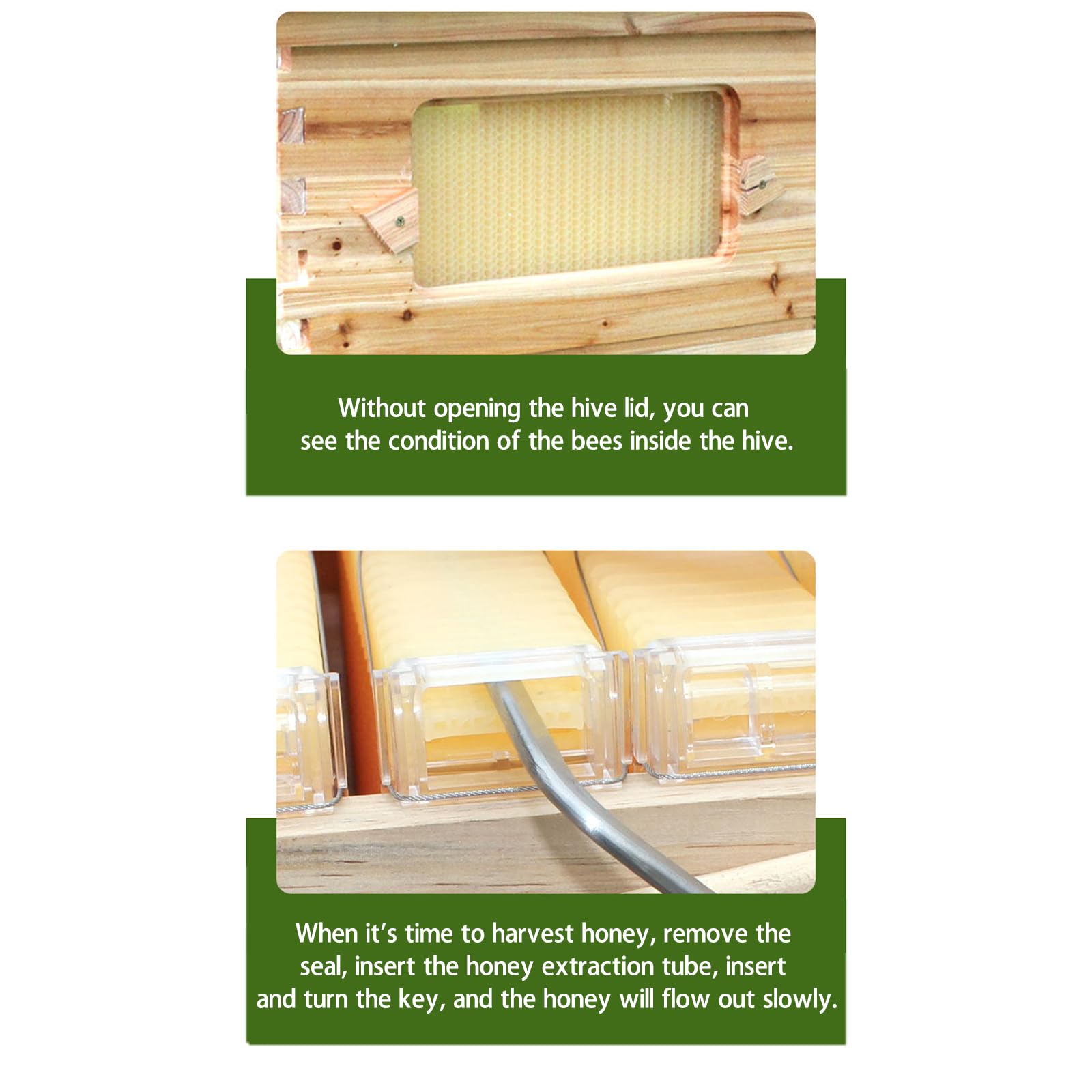 Automatisches Bienenstock-Set aus Holz, selbst fließender Bienenstock aus Holz, umfasst 7 Rahmen und Grundblätter, geeignet für Bienen und Schmetterlinge.
