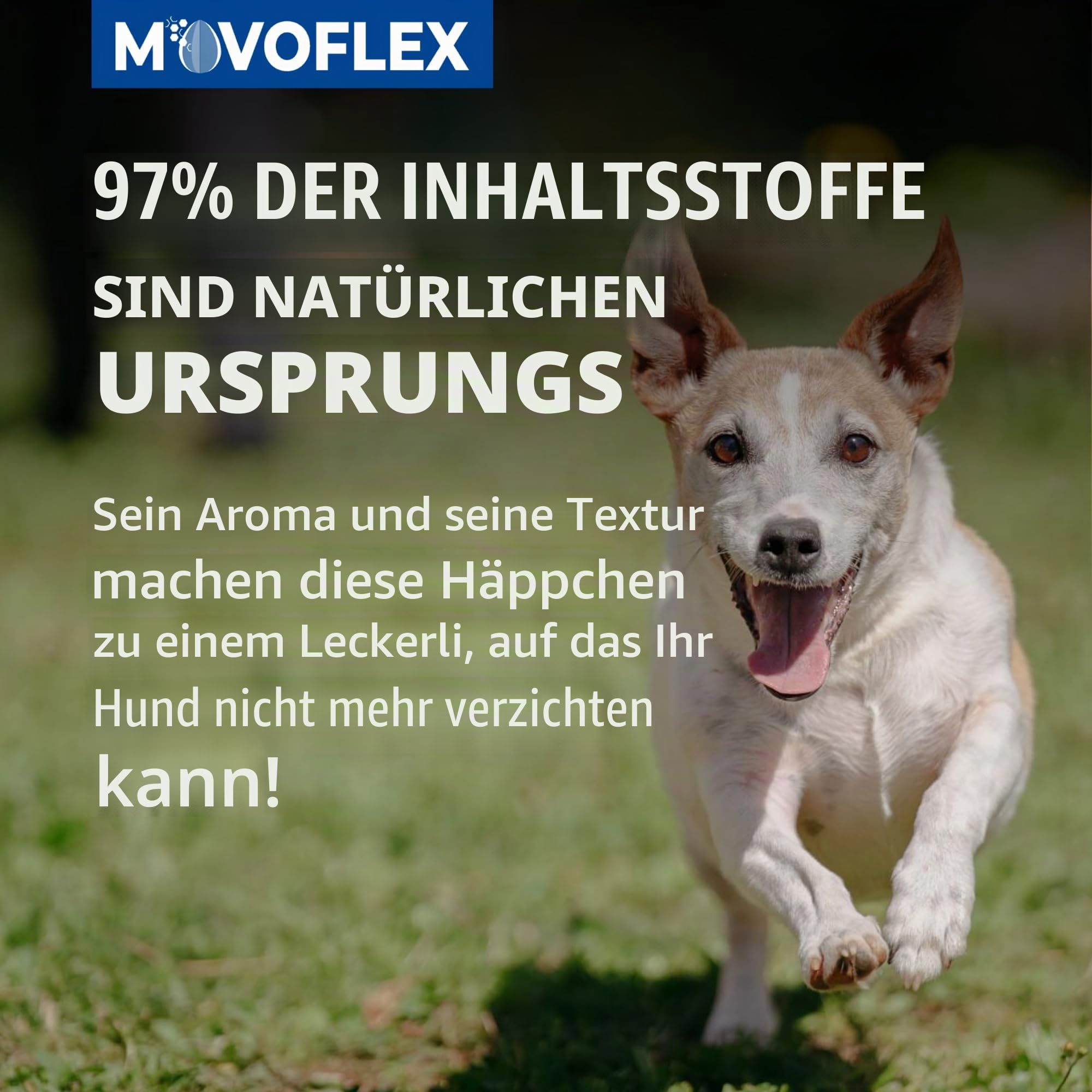 Movoflex Soft Chews | 30 Stück | für Hunde unter 15 kg | Ergänzungsfuttermittel für Gelenkgesundheit | Zur Erhaltung der Gelenkstrukturen | Mit Hyaluronsäure