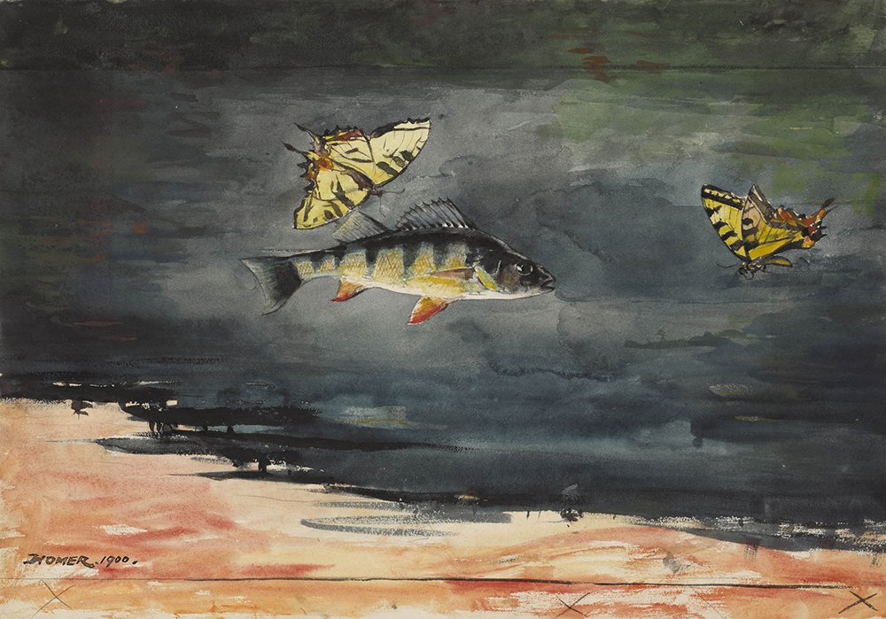 Impresión Winslow Homer Fish and Butterflies pequeña, calidad archivo mate premium