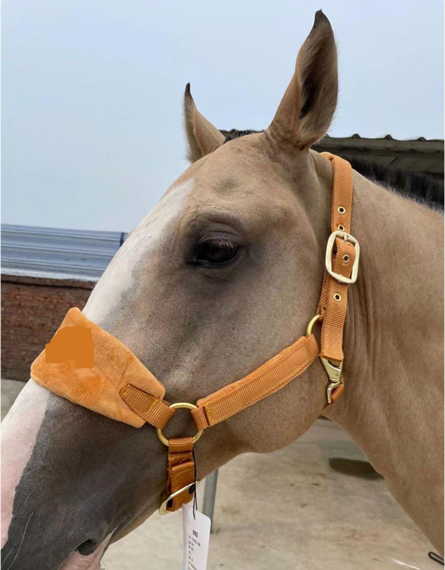 Cabestros de caballo, brida, cabezal , equipo ecuestre grueso, accesorios, arnés for montar a , cabezales(Brown)