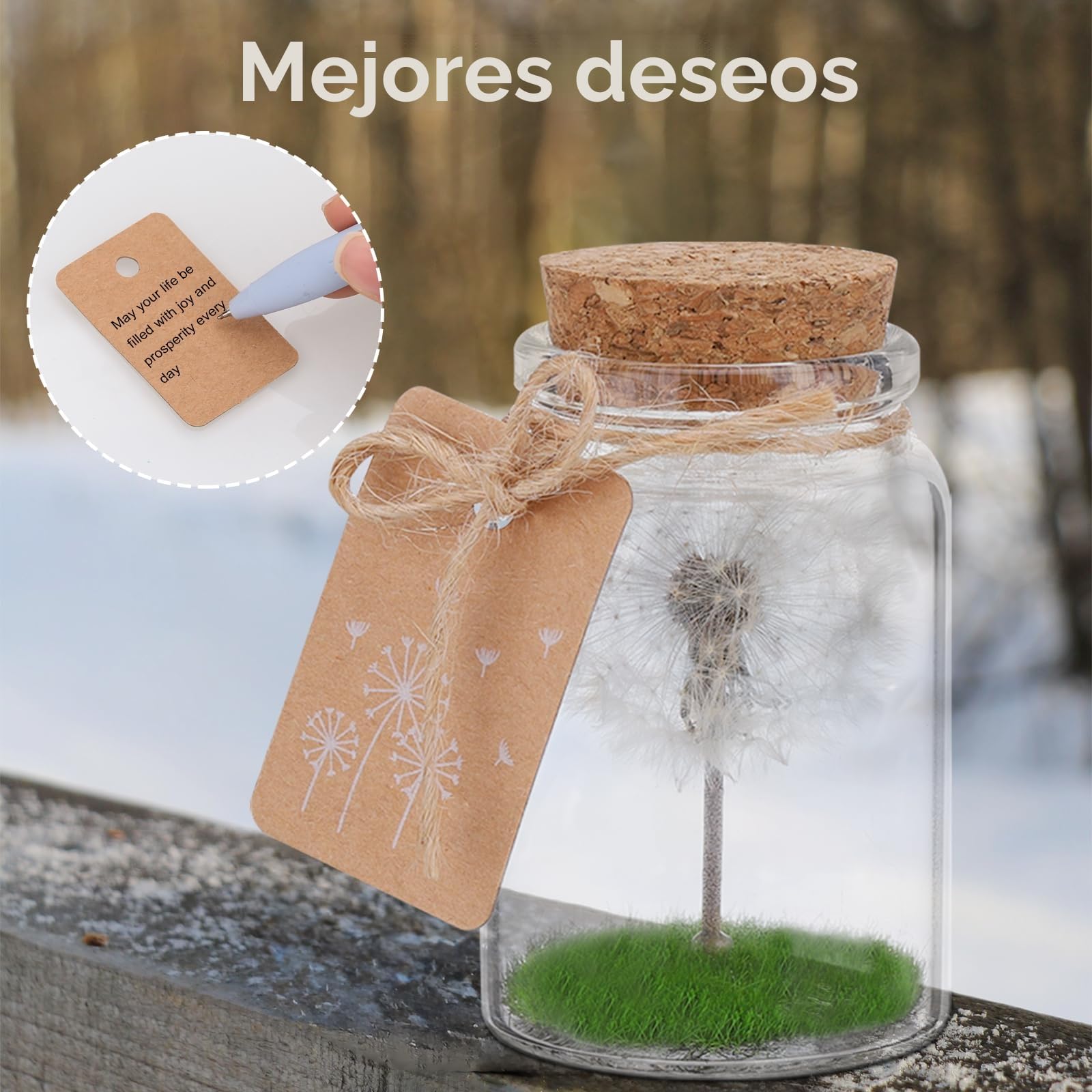JIZZU Verdadero Diente de León en un Frasco, Regalo amiga Originales con Cordel de Luz, Cumpleaños Día San Valentín Boda Día Madre Regalos Navidad