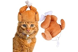Thanksgiving Turkey Hats for Cat Halloween Costume