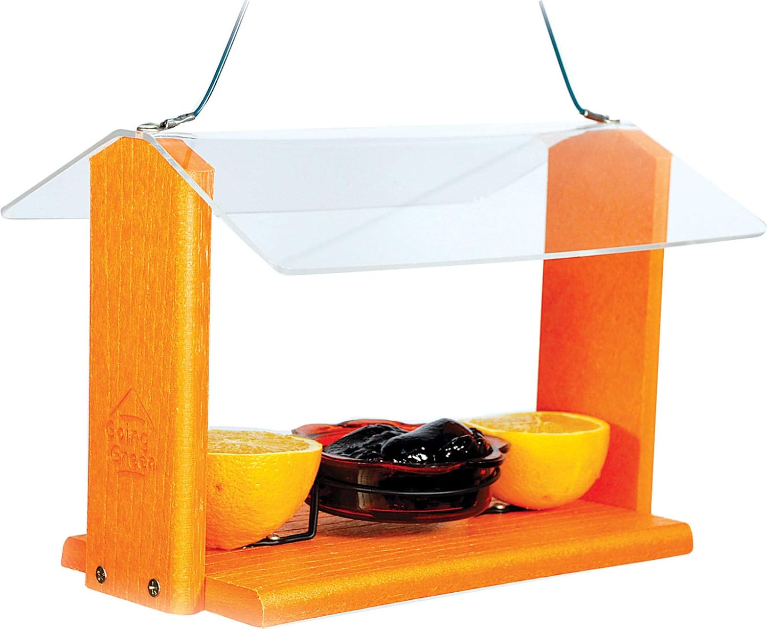 Woodlink Going Gren Oriole and Bluebird Feeder