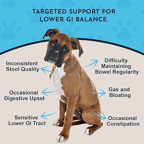 Miniatura 2 de Animal Essentials Colon Rescue - Fórmula de hierbas para perros y gatos, tracto gastrointestinal saludable, sabor dulce, hierbas 100% orgánicas de