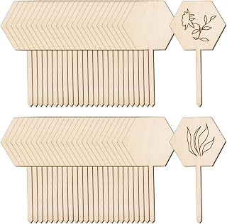 HOVEOX 100 Pieces Wooden Plant Labels Succulent Tags Wooden Plant Sign Tags Wood Garden Plant Tag Vegetable Garden Markers Plant Tags Succulent Plant Markers