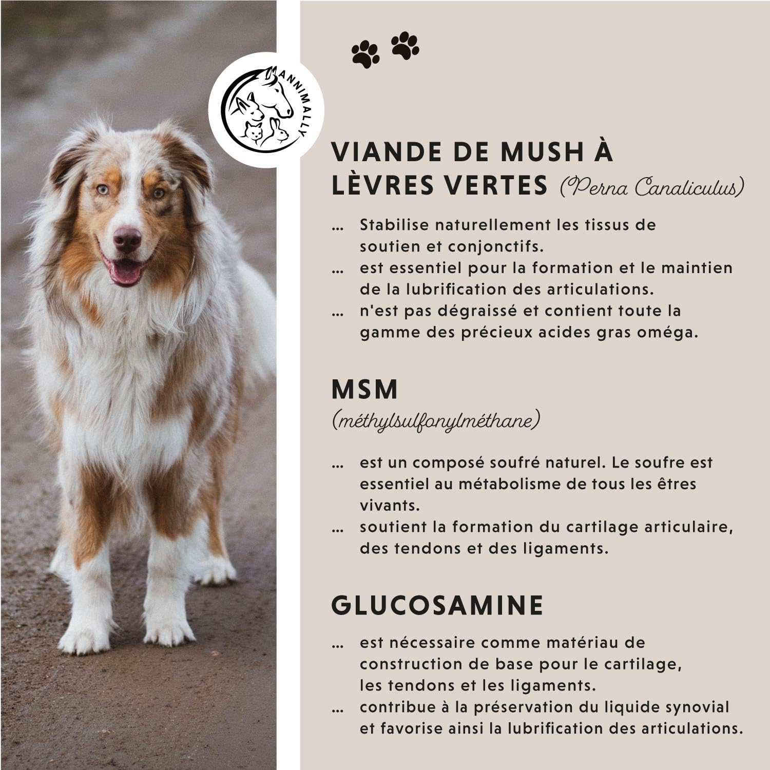 Complément Articulation pour Chien - Anti arthrose Chien Senior - avec glucosamine chondroïtine Chien - 120 comprimés pour Articulation - Anti inflammatoire Chien