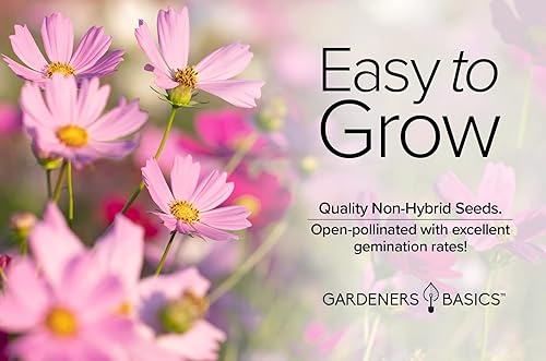 Miniatura 3 de Cosmos Seeds para plantar flores (mezcla de sensación) - Semillas de flores cosmo rosadas, polinizadas abiertas, sin OMG, ideales para jardines de