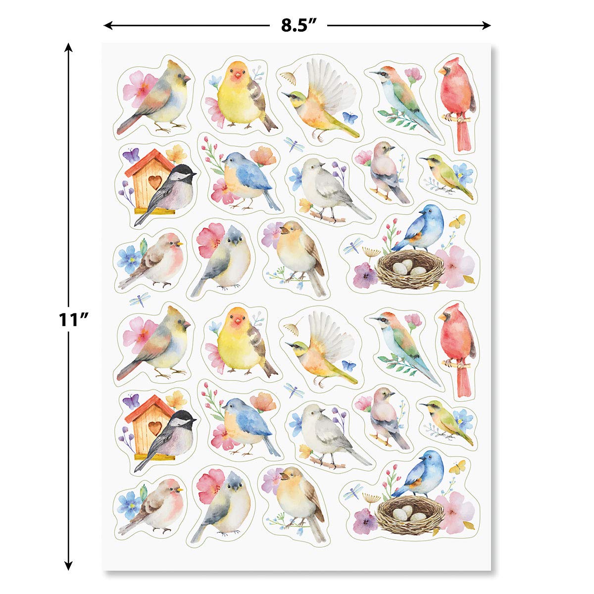 Snapklik.com : Watercolor Birds Sticker Variety Pack - 2 Sheets, 52 ...