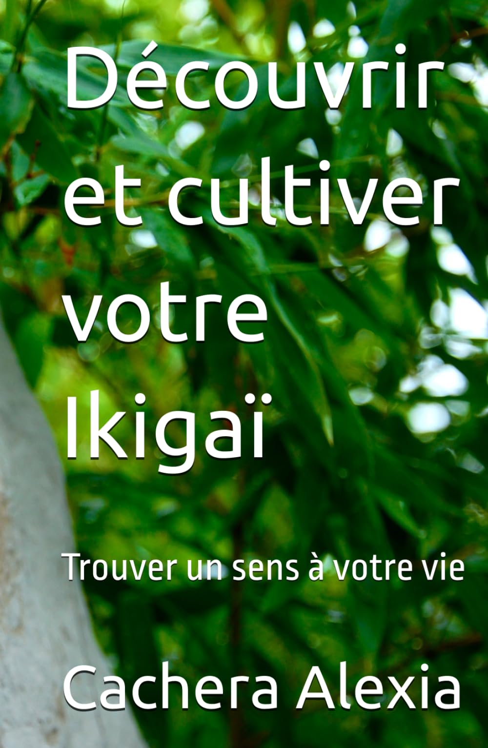 Découvrir et cultiver votre Ikigaï: Trouver un sens à votre vie