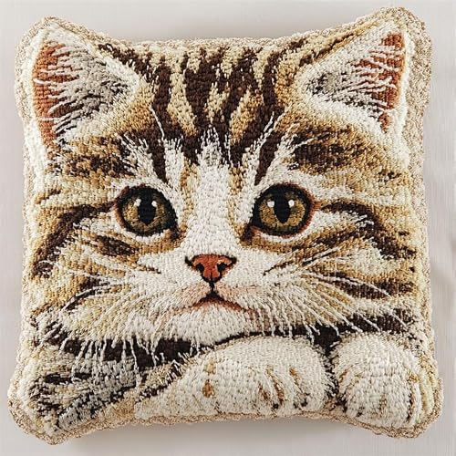 WallustrioaW Animal cat Latch Hook Kits,Latch Hook Cushion,A Cute cat,DIY Latch Hook Pillow Printed Cushion Embroidery Needlework Craft Embroidery Kit,17x17inch