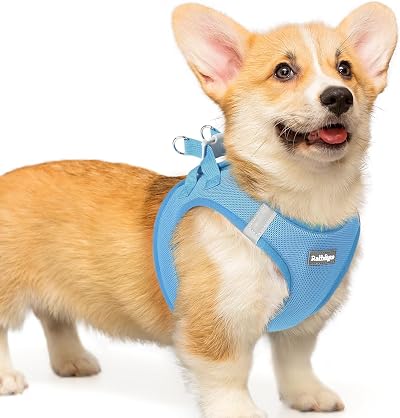 rabbitgoo Step-in Small Medium Dog Harness, Puppy Vest for Small Breed Pet