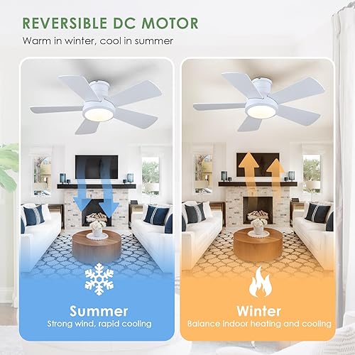 Miniatura 6 de Dannilong Ventiladores de techo modernos de 38 pulgadas con luces control remotoaplicación, ventiladores de techo reversibles de perfil bajo,