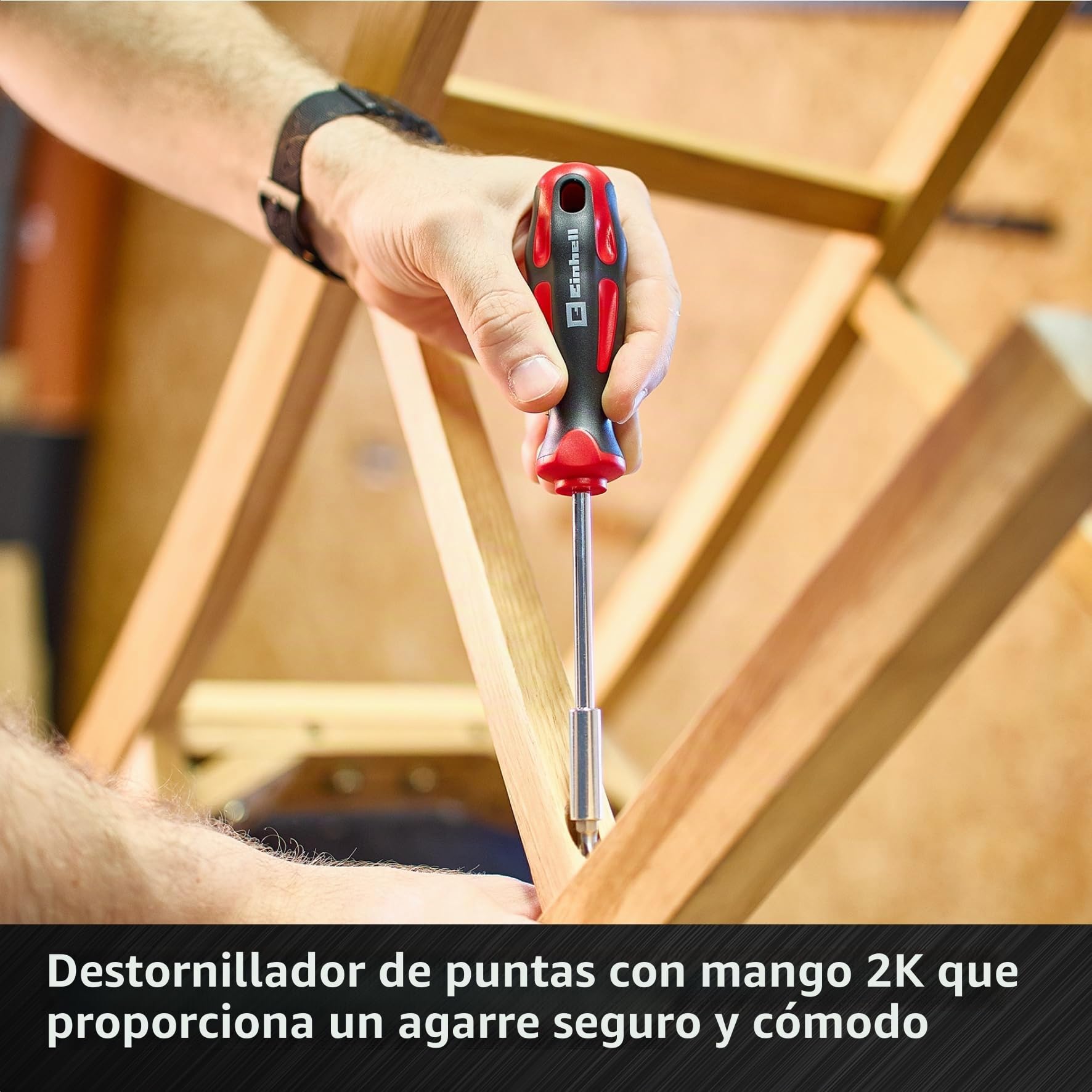 Einhell - Maletín de herramientas mecánicas, 201 piezas (multifunción, juego de bit, llaves de carraca, llaves y sistema E-Case)
