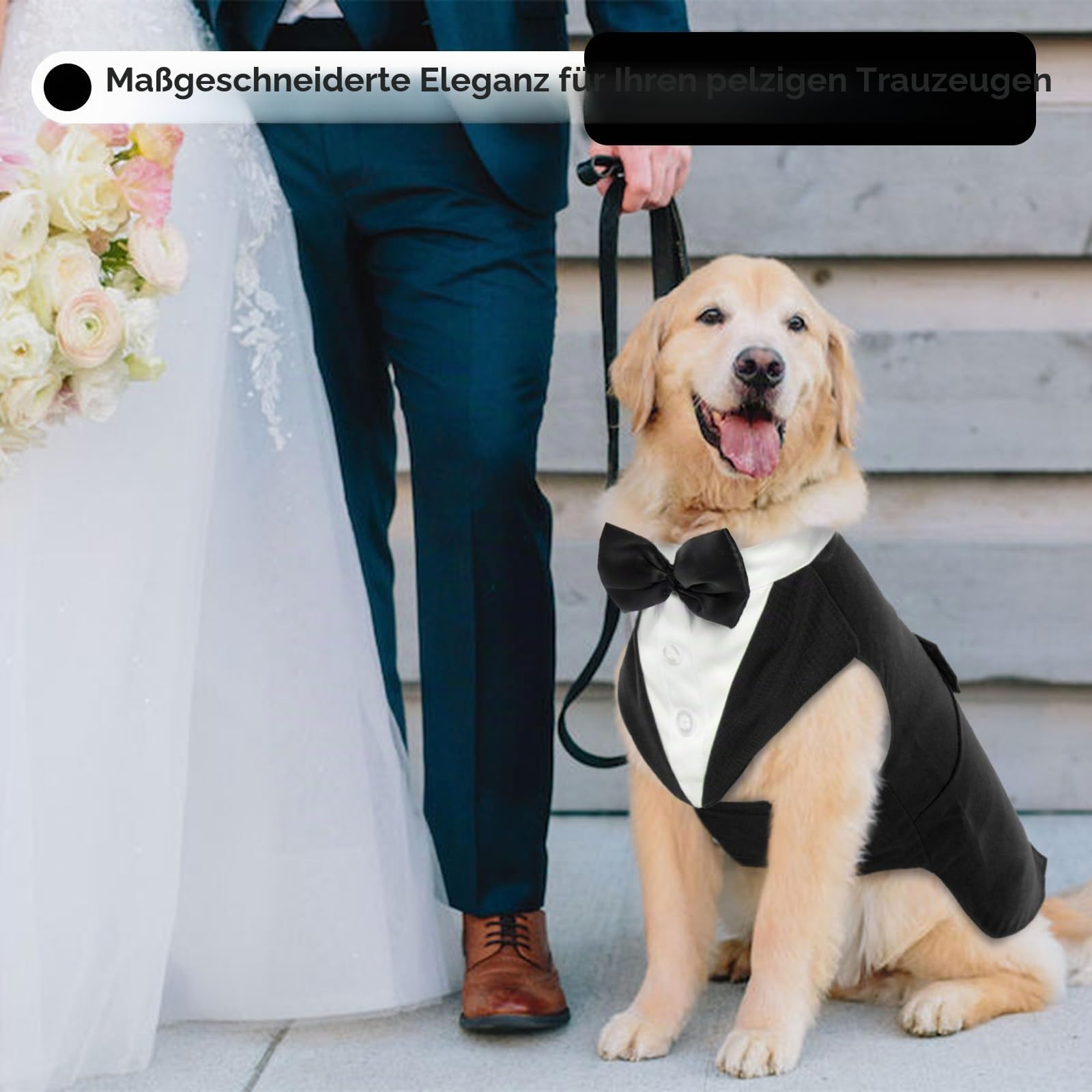 Hund Smoking Anzug & Bandana Set, Hund Hochzeit Anzug, Hundekostüm für Kleine, Mittlere und Große Hunde, Hundekleidung für Hochzeit, Geburtstage, Partys Weihnachten und Halloween-Schwarz XXL