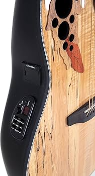 Amazon.com: Ovation Celebrity Elite Plus CE44P-SM A/E Guitar