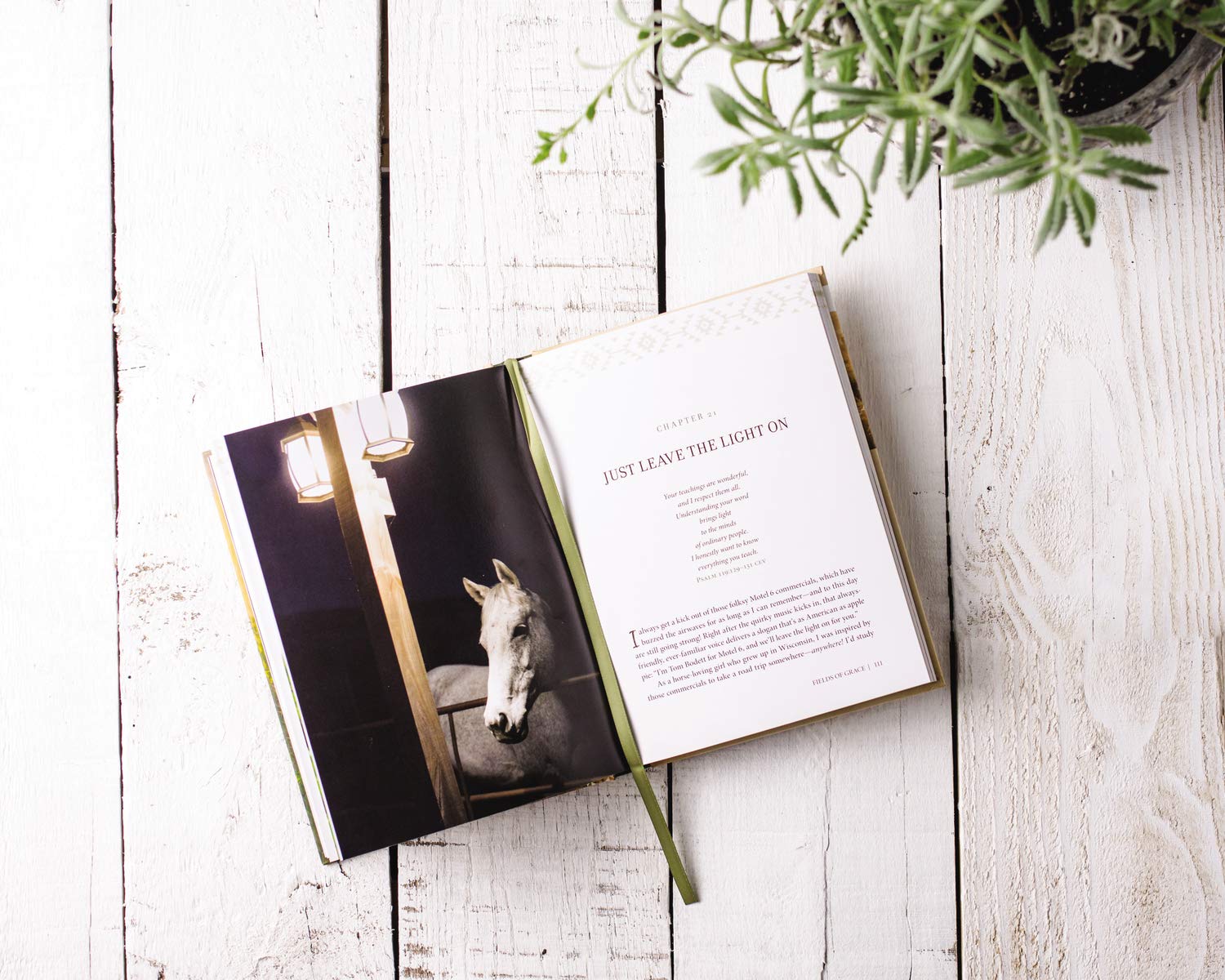 Fields of Grace: Sharing Faith from the Horse Farm - Image 6