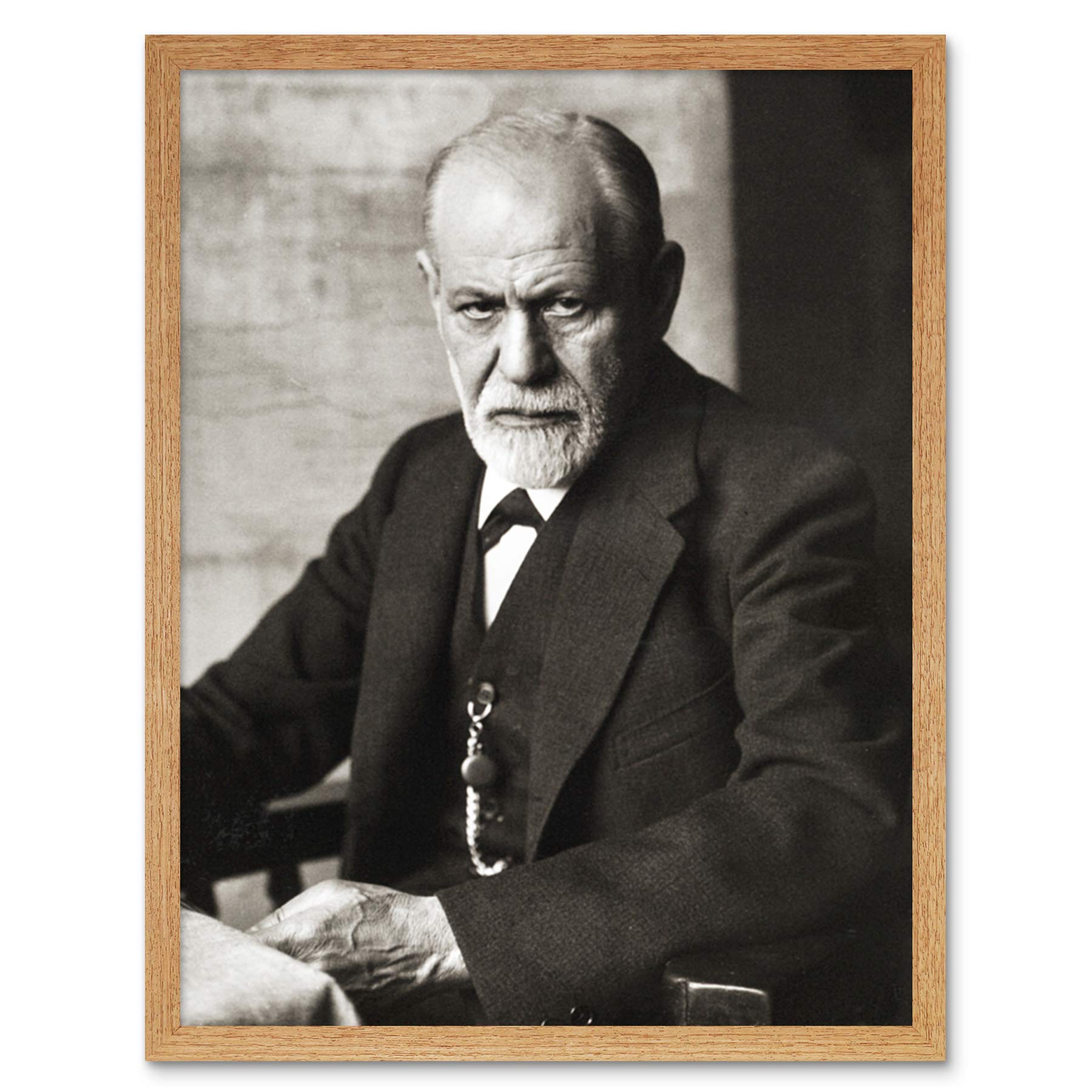 Portrait Psychoanalyst Neurologist Sigmund Freud Photo Art Print Framed Poster Wall Decor 12x16 inch