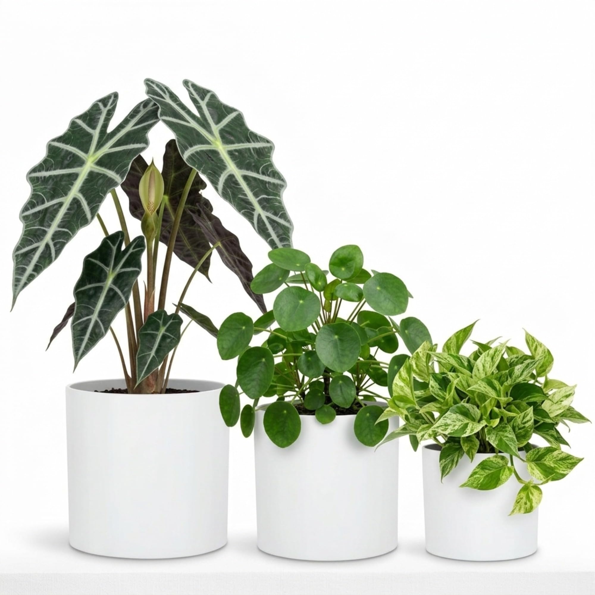 Fox&Fern Übertopf Set S/M/L - Blumentöpfe Gross inkl. Wasserabfluss - Blumentopf hoch - Übertöpfe für Zimmerpflanzen - Blumentopf 30cm Durchmesser - Pflanzentöpfe groß - Plant Pot - Blumentopf weiß