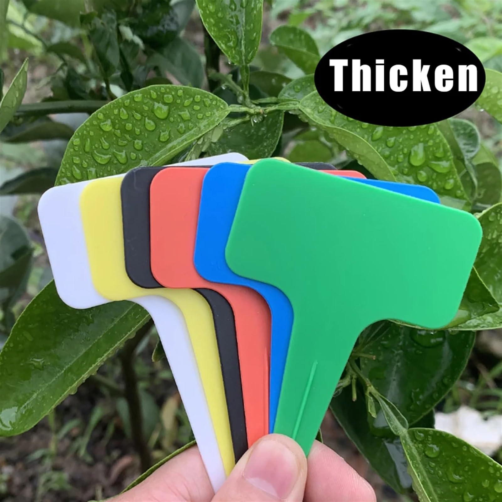 12 plastikowych etykiet na rośliny typu T | Wielokolorowe opakowanie 12 sztuk, 10x6 cm, wytrzymałe, wodoodporne, do markerów ogrodowych(White)