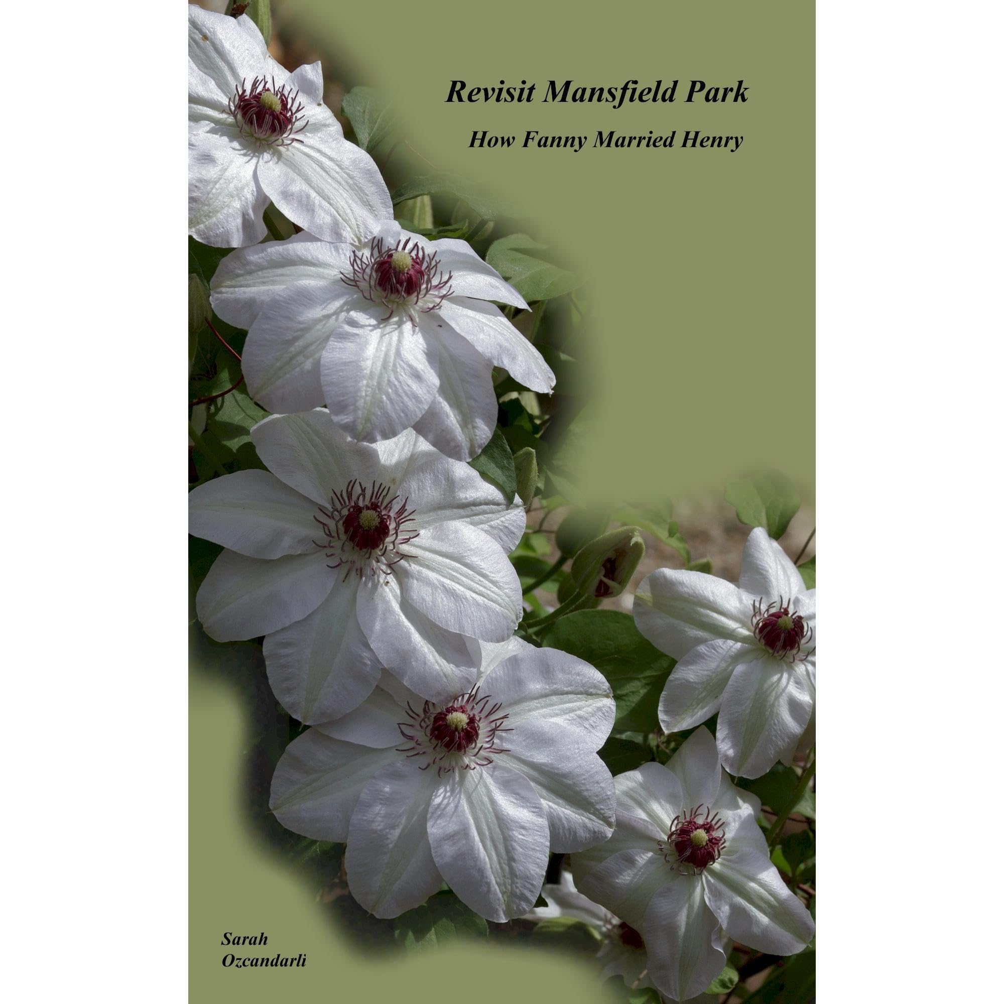 Revisit Mansfield Park