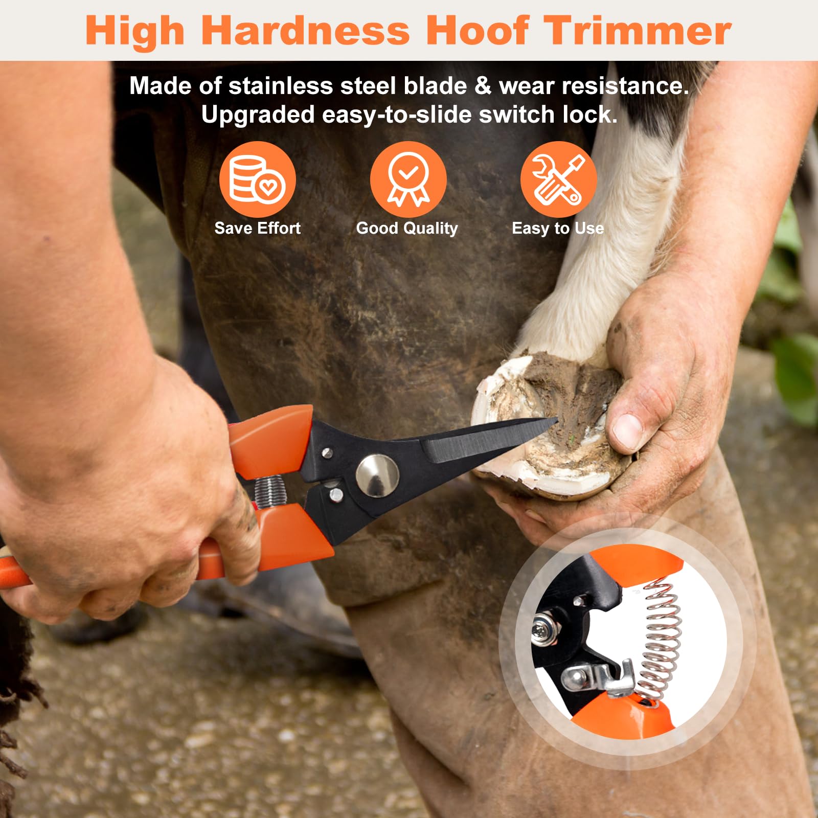 8 inch Farrier Tools Kit (8 Piece) Horse Goat Hoof Trimmers Carbon Steel Nippers Shears Nail Clipper, Mini Rasp, Hoof Trimming Cutter Knife, File for Pig Sheep Donkey Equine Supplies with Storage Bag - image 3