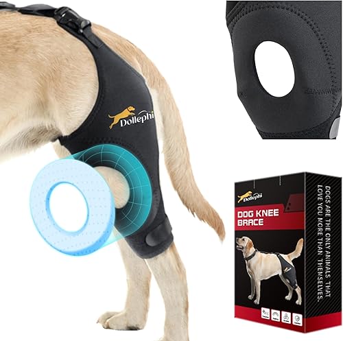 Miniatura 39 de Rodillera para perro para pierna trasera desgarrada del ligamento cruzado anterior, soporte para luxación de rótula u osteoartritis, lesiones