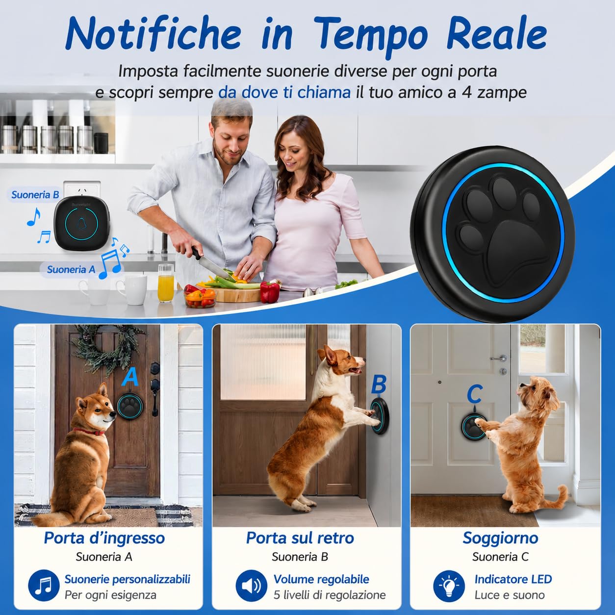A6 BK Campanello per Uscire Cane Senza Fili 300 m – Campanello Educazione Cane con LED, 60 Melodie, Impermeabile, Accessorio per Addestramento Cane Toilette (1 Campanello e 2 ricevitori)