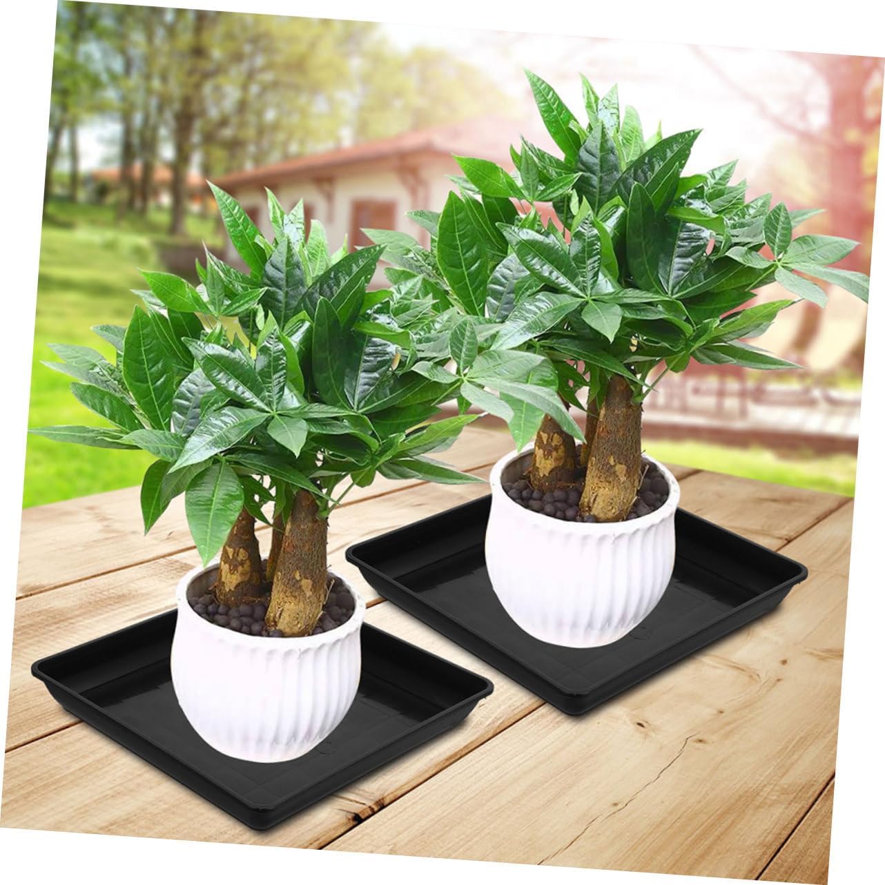 BESPORTBLE 16pcs Plastic Plant Saucers for Indoor Use Flower Pot Drip Trays to Prevent Water Leakage Square Garden Trays Black for Pots and Planters