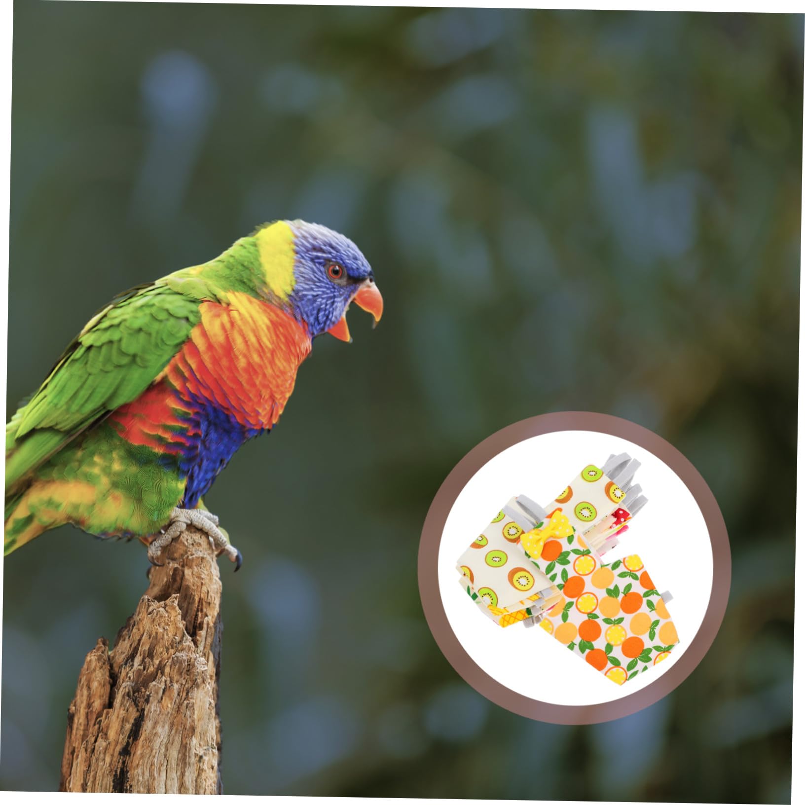 WOONEKY Pañales para Loros y Periquitos Ligeros y Transpirables de Algodón y Tela, 6 Piezas para Vuelo y Protección de Mascotas Pequeñas