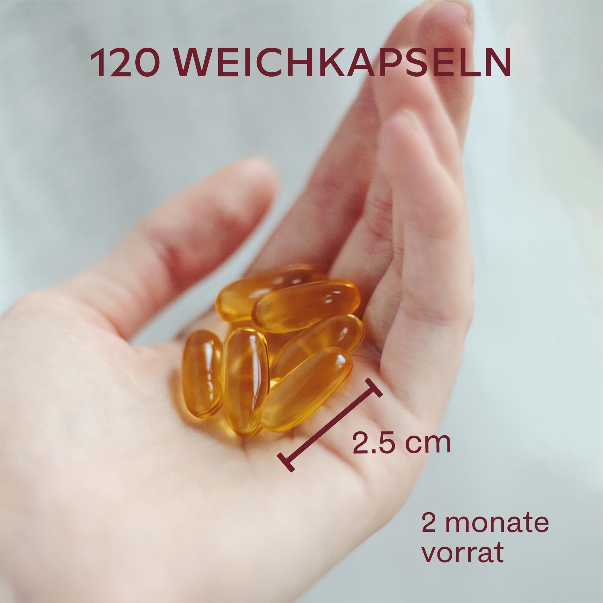 Omega 3 Kapseln Hochdosiert 2000mg Omega 3 Öl 1000mg EPA + 500mg DHA pro Tagesdosis (2 Premium Omega 3 Fischöl Kapseln) - Omega-3-Fettsäuren Kapseln - 120 Kapseln Fischöl Omega 3 Hochdosiert 60 Tage