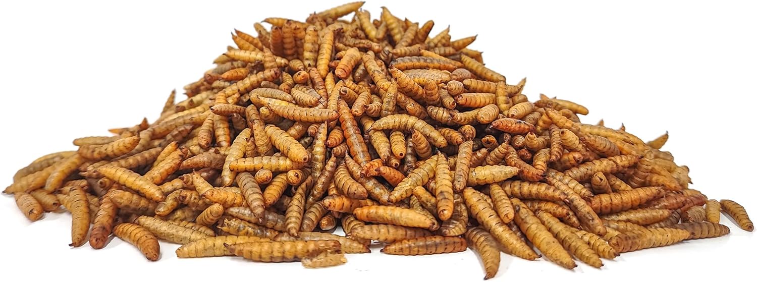 Premium Chicken Treats 5LB - Non-GMO & 85X More Calcium Than Mealworms - Molting & Laying Supplement - Black Soldier Fly Larvae Treats for Layer Hens, Ducks & Wild Birds