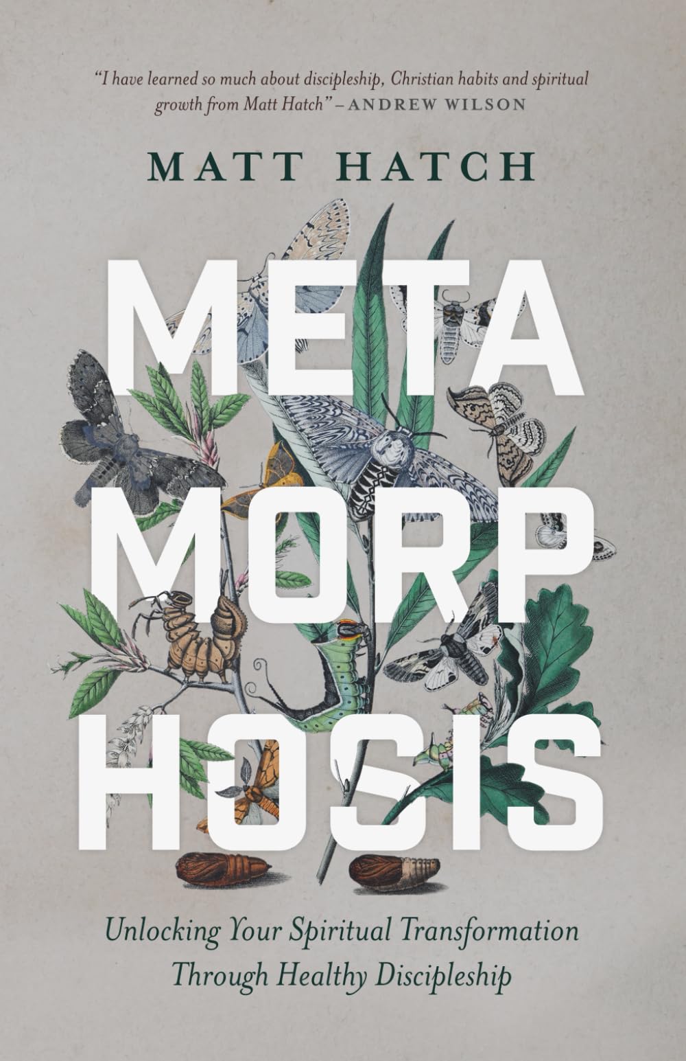 Metamorphosis: Unlocking Your Spiritual Transformation through Healthy Discipleship