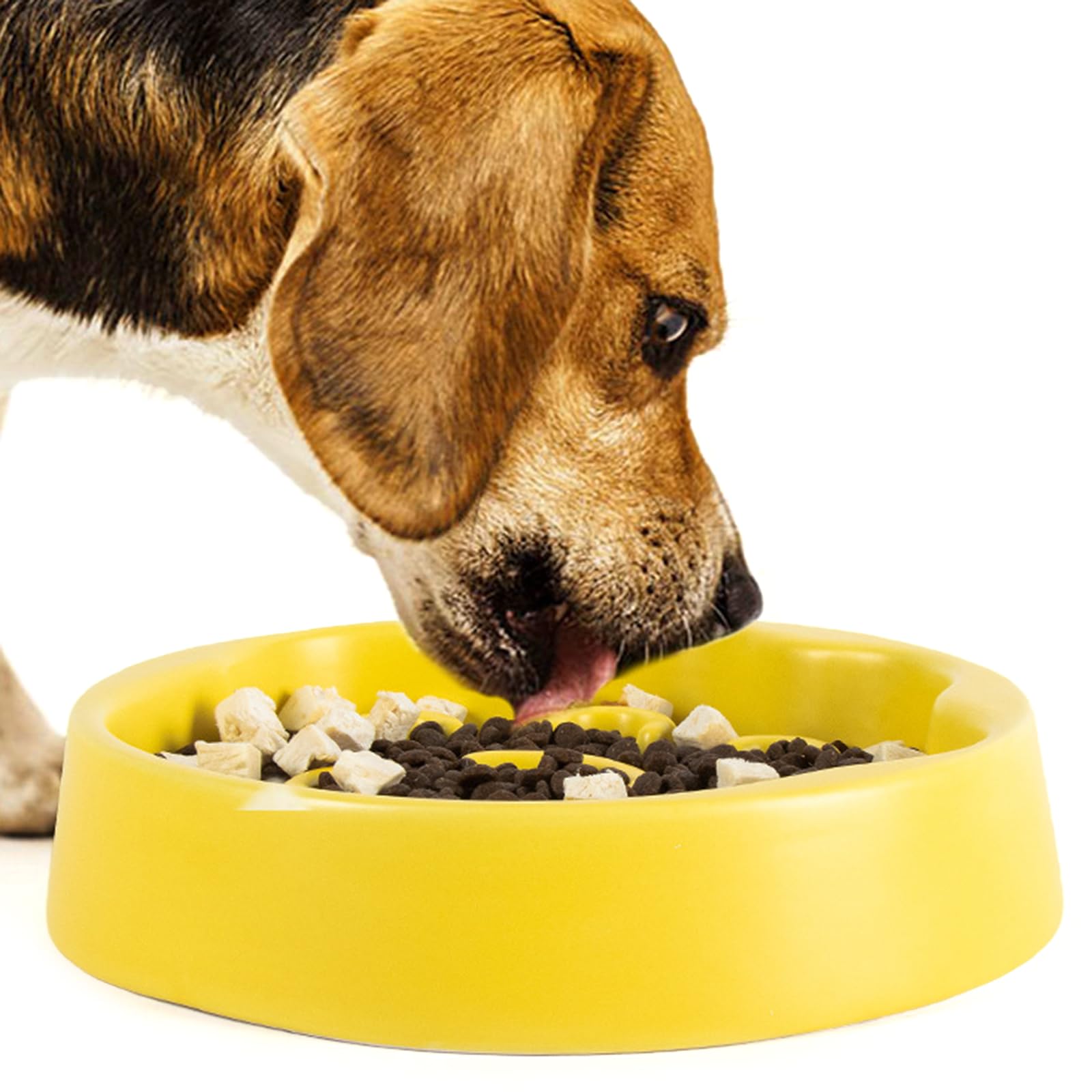 Gamelle anti-cale pour animal domestique - Gamelle en céramique de grande capacité - Distributeur de nourriture pour animaux de compagnie