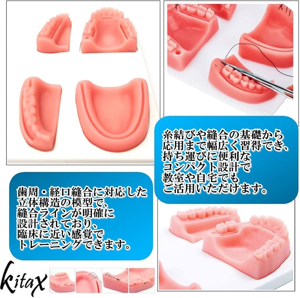 歯科用　模型セット SRP用顎模型 [D16FE-500H(GSF)-MF](FE咬合器つき)｜株式会社ニッシン